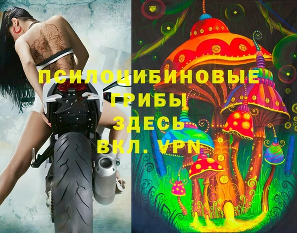 spice Аркадак