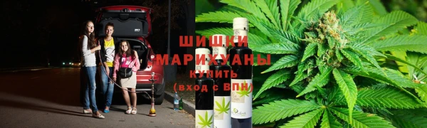 метадон Алексин